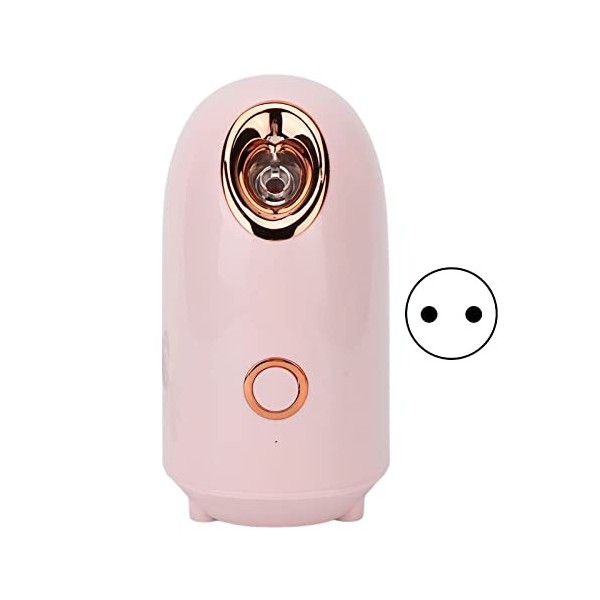 Vapeur Visage Vaporisateur Sauna Spa Facial Chaude avec Réservoir Deau de 100ml, Nano Ionique Visage Steamer Maison Outil Hy