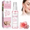 Eau de Rose Bio 100ml Extraits Naturels de Plantes Eau de Rose Visage Lotion Tonique Hydratante et Purifiante Cadeau pour ann