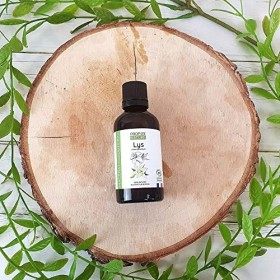 MACERAT HUILEUX LYS BIO 50ml**