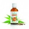 Puressentiel - Huile Végétale Chanvre - Bio - 100% pure et naturelle - 50 ml