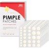 Lot de 300 patchs à boutons à lacide salicylique hydrocolloïde pour traitement des imperfections à lhuile darbre à thé, an