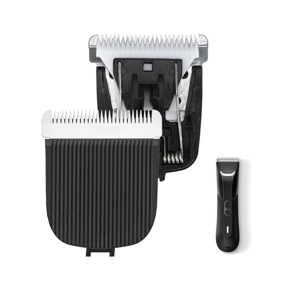 Lot de 2 lames de rechange pour rasoir Manscaped