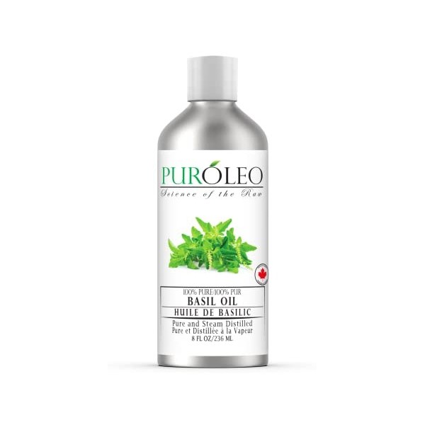 PUROLEO Basil Essential Oil 8 Fl Oz/236 ML Made In Canada 100% Pure, Natural and Undiluted Aromatherapy Oil for Diffuser, M