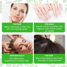 Huile de Moringa pour Visage, Capillaires, Massage du Cuir Chevelu et Corps, Pure, Pressée à Froid, Non Raffinée, Hydratante 