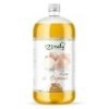 1L Huile dOignon