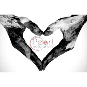 Pearl Natural Oils Huile dArgan Naturelle Marocaine Pure 500ml
