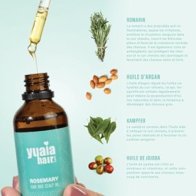 Yuaia Haircare Huile de romarin | Accélérer la croissance des cheveux | 100 % bio | Minimise les pointes fourchues | Soin du 