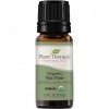 Plant Therapy Essential Oils Tea Tree USDA Organic 10 mL 1/3 oz 100% Pure