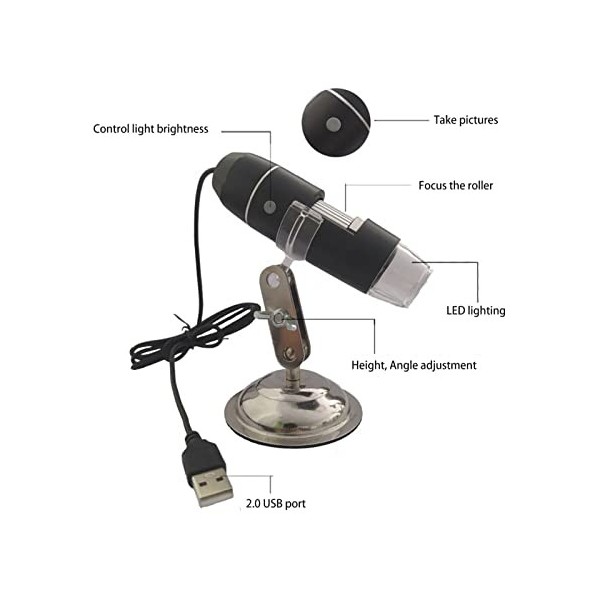 Analyseur de Cheveux de Diagnostic de Peau, Détecteur de Cuir Chevelu Multifonctionnel Cheveux 800X Grossissement Analyseur d