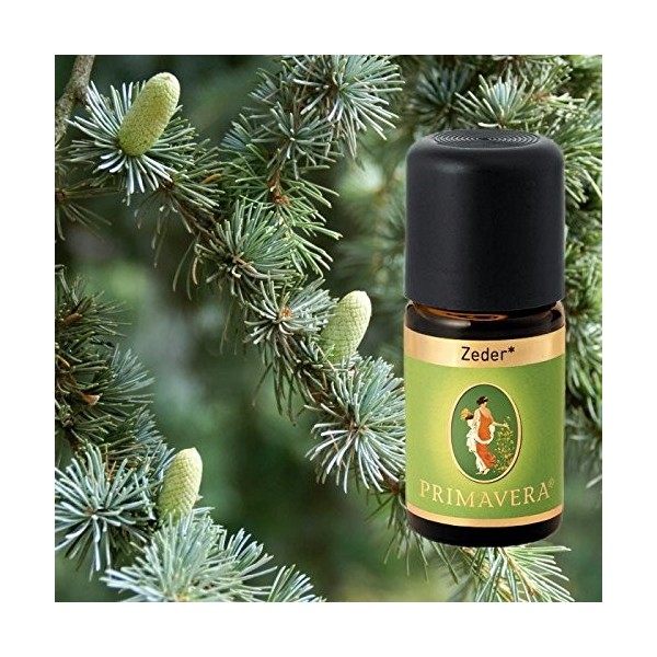 Primavera Bio huiles parfumées pour aromathérapie de 5 ml chacune