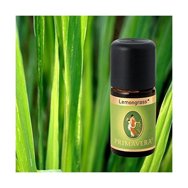 Primavera Bio huiles parfumées pour aromathérapie de 5 ml chacune