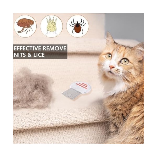 Lot de 2 peignes à poux professionnels en acier inoxydable pour le traitement des poux de tête, durables et faciles à nettoye