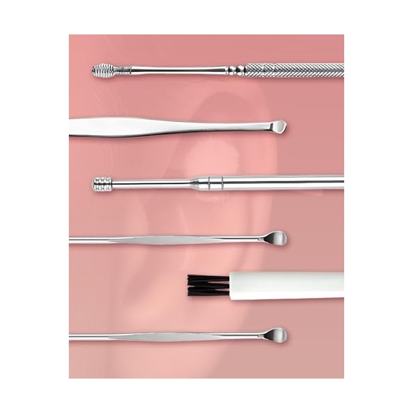 6 Pièces de nettoyage doreille, Cuillère à Oreille en Acier Inoxydable, Nettoyeur Doreilles Portable, Avec Boîte de Rangeme