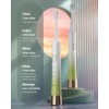 Brosse à dents électrique sonique pour adultes, 8 têtes de brosse de rechange, brosse à dents électrique rechargeable avec mi