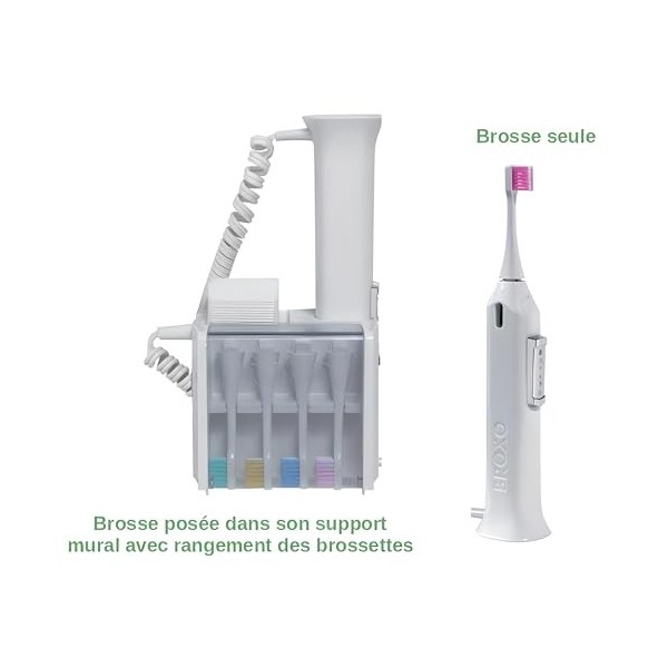 Broxo Orabrush brosse à dents-gencives mécanique oscillation verticale et sonique à cavitation hydrodynamique + le protèg