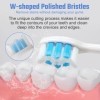 PERECT Sonic Brosse à Dents Électrique pour Adulte, Rechargeable Brosse à Dents Électrique avec 8 Têtes de Brosse de Rechange