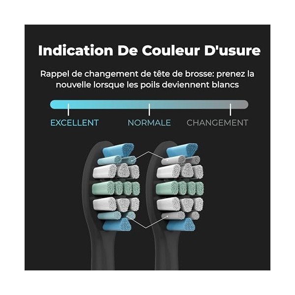 AENO Brosse à dents électrique sonic Noir, DB2S 