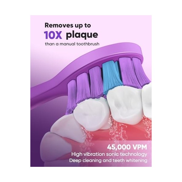 MySmile DY156 Brosse à dents électrique pour adultes, brosse à dents sonique automatique rechargeable portable avec 2 têtes d