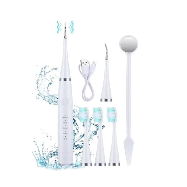 Veloury Détartreur Dentaire & Brosse à Dents Électrique 2 en 1 | Accessoires pour Hydropulseurs et Irrigateurs Idéal pour Dét