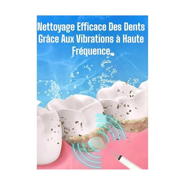 Veloury Détartreur Dentaire & Brosse à Dents Électrique 2 en 1 | Accessoires pour Hydropulseurs et Irrigateurs Idéal pour Dét