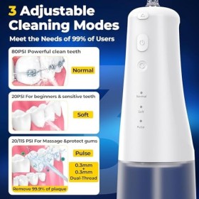 Jet Dentaire Hydropulseur - 310 ML Portable Sans Fil Irrigateur Dentaire Rechargeable Hydropulseur Dentaire, 6 Embouts, USB C