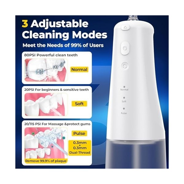 Jet Dentaire Hydropulseur - 310 ML Portable Sans Fil Irrigateur Dentaire Rechargeable Hydropulseur Dentaire, 6 Embouts, USB C