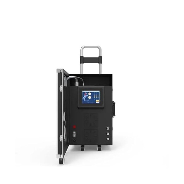 PMST Appareil de physiothérapie vétérinaire Magnéto Pemf Physiothérapie Cheval Soulagement de la douleur Machine