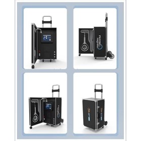 PMST Appareil de physiothérapie vétérinaire Magnéto Pemf Physiothérapie Cheval Soulagement de la douleur Machine