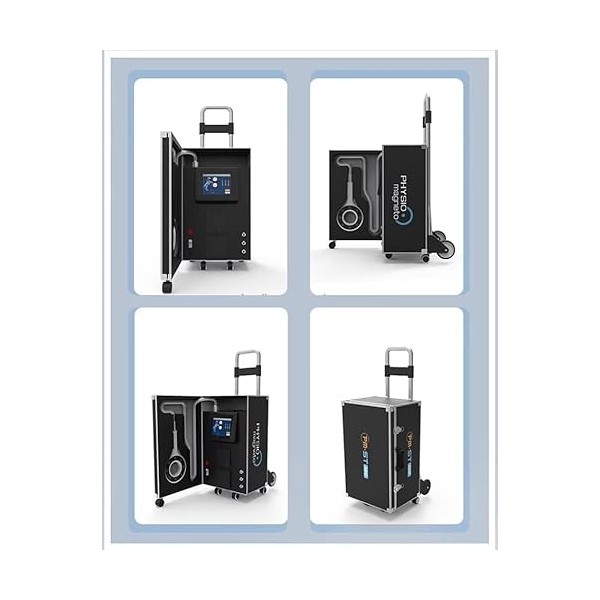 PMST Appareil de physiothérapie vétérinaire Magnéto Pemf Physiothérapie Cheval Soulagement de la douleur Machine