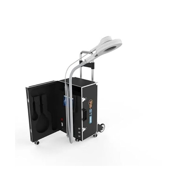 PMST Machine de thérapie magnétique physique pour chevaux EMTT Soulagement de la douleur magnétique