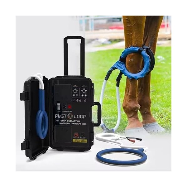PMST Loop Appareil de physiothérapie pour soulager la douleur des articulations du vétérinaire