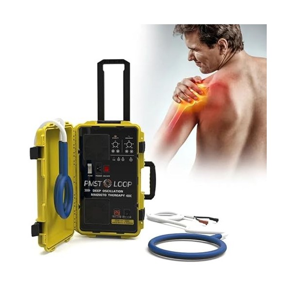 Pmst Loop Pemf Mat Machine de physiothérapie magnétique pour la gestion de la douleur