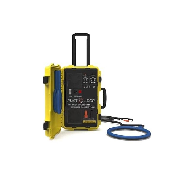 Pemf Pulse Appareil de magnétothérapie physique électromagnétique pour soulager les douleurs musculaires