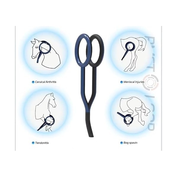 Physiothérapie Pemf Loop Pulsé Champ Magnétique Soulagement de la Douleur Corps