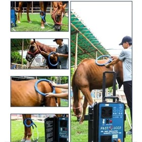 Pemf Loop Dispositif de thérapie magnétique pour soulager la douleur articulaire de cheval animal sans douleur