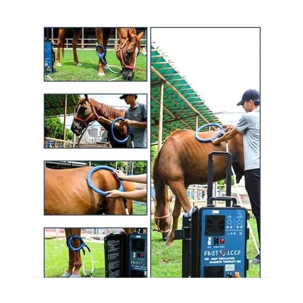 Pemf Loop Dispositif de thérapie magnétique pour soulager la douleur articulaire de cheval animal sans douleur