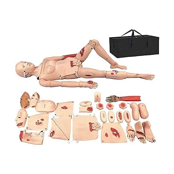 PFHKTO Mannequin humain taille réelle de 160 cm pour soins aux patients - Simulateur de premiers secours pour soins infirmier