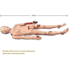 PFHKTO Mannequin humain taille réelle de 160 cm pour soins aux patients - Simulateur de premiers secours pour soins infirmier