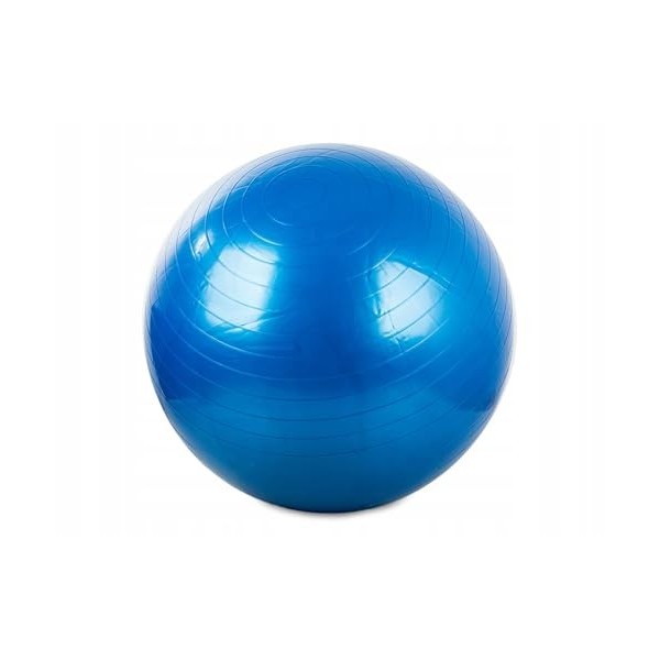GADIRIA Ballon de Pilates de 65 cm avec pompe de gonflage – Fitball pour yoga, gymnastique, Pilates, fitness, exercice à domi