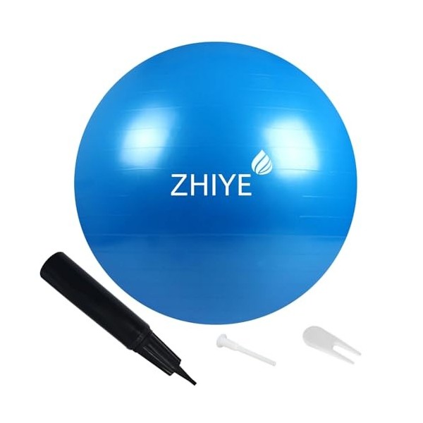 ZHIYE Balle de Pilates Rose 75 cm Yoga Exercice Ball Core Fitness Bender, Yoga, Stabilité, Barre, Entraînement Physique Théra...