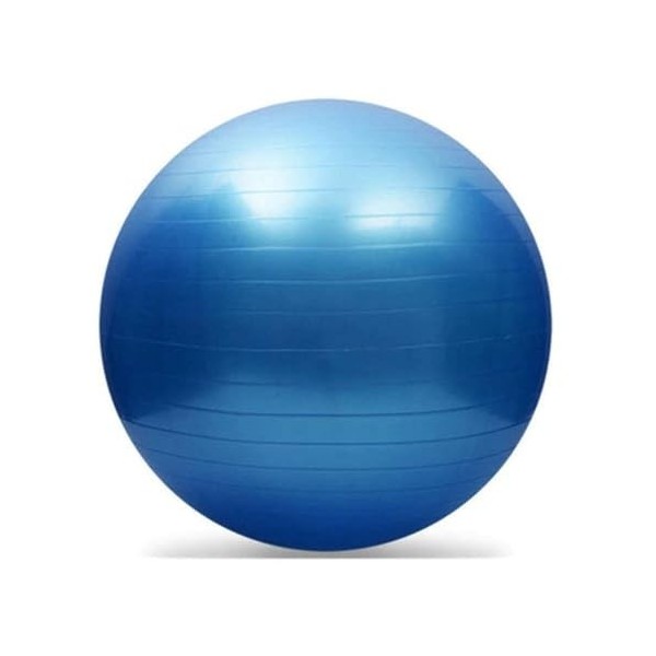offershop Ballon de fitness pour entraînement et pilates Yoga maison salle de sport lavable pompe à gonflage Bleu 