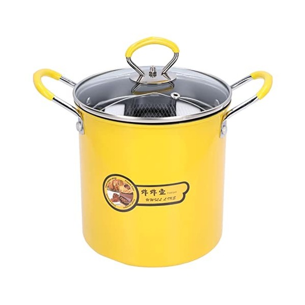 XIASABA Mini friteuse 3l en acier inoxydable avec couvercle pour filtre à huile friteuse avec panier pour frites poisson poul