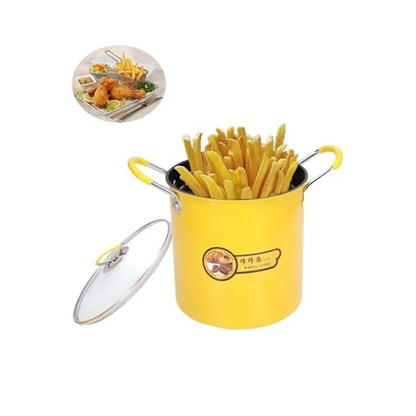 Marmite à friteuse Tempura, mini marmite à friteuse japonaise en acier inoxydable de 3 L avec couvercle de support de filtre 