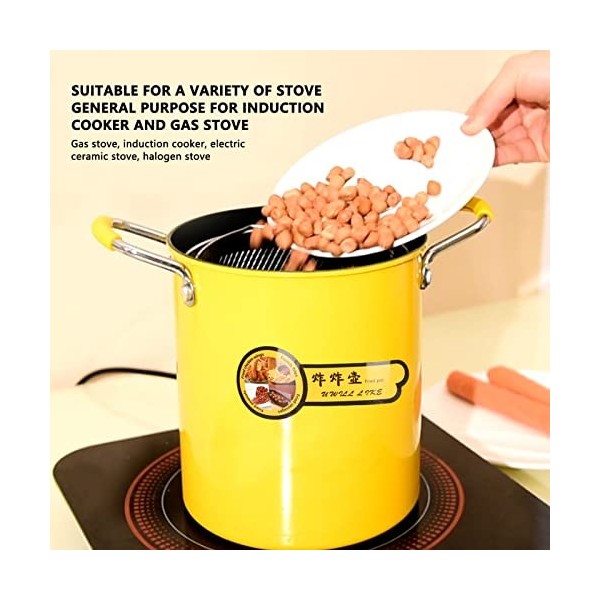 Mini Friteuse 3L, Friteuse Japonaise, Avec Couvercle de Support de Filtre À Huile en Acier Inoxydable 304 et Poignée Antidéra