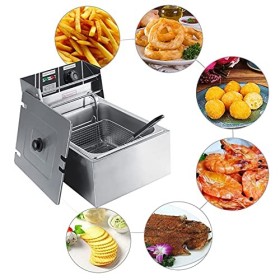 Friteuse Electrique 6L, Unique Réservoir en Acier Inoxydable 2.5 KW Friteuse Commerciale Unique Friteuse avec Filtre Thermost