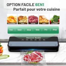 Raycial Machine Sous Vide Alimentaire 5 En 1, Machine Sous Vide Pour Aliments Secs Et Humides, Vide Avec Sacs Sous Vide, Scel
