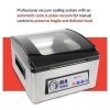 SousVideTools [SVT-03100] iVide Appareil de Mise sous Vide pour Emballage et Conservation d’Aliments Secs et Humides avec Cha