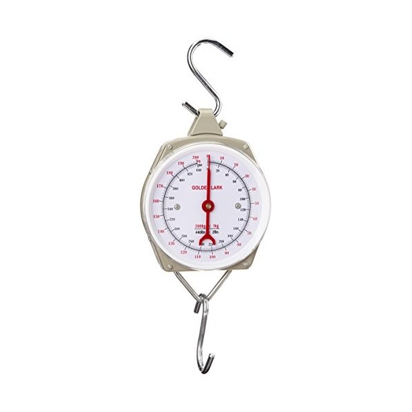 Berger + Schröter 50197 Peson 200 kg Gris