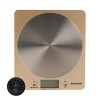 Salter 1036 WHSSDR Disc Balance de Cuisine Électronique, Balance Numérique avec Plateforme de Disque en Acier Inoxydable, Fon