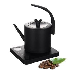 Bouilloire en acier inoxydable avec réglage de la température, bouilloire à col de cygne 1L, 1000W Tea Builder, Intelligent A